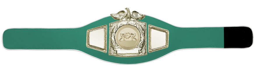 PROEAGLE GRAPPLING CHAMPIONSHIP BELT - PROEAGLE/G/GRAPG - AVAILABLE IN 6+ COLOURS PROEAGLE GRAPPLING CHAMPIONSHIP BELT - PROEAGLE/G/GRAPG - AVAILABLE IN 6+ COLOURS